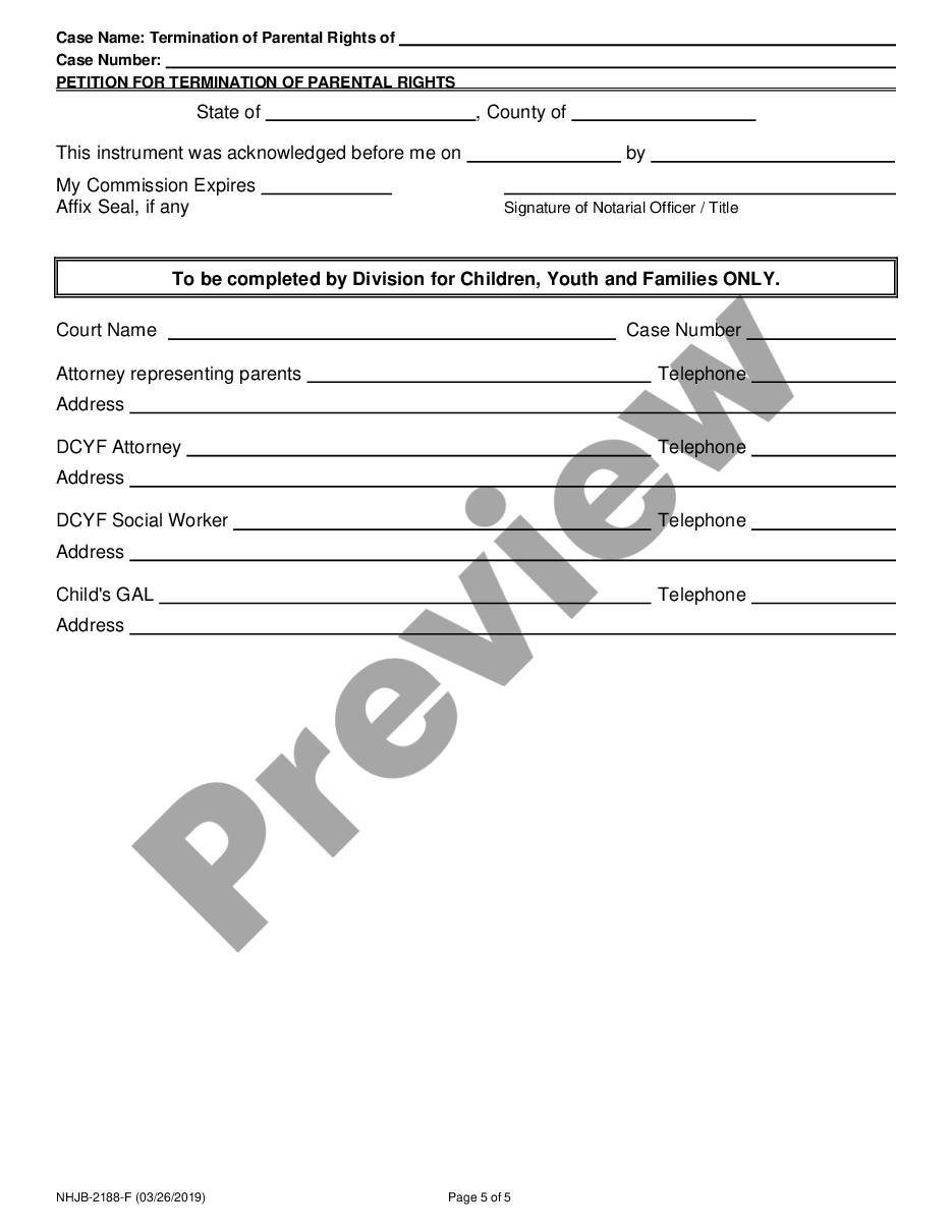 page 4 Petition for Termination of Parental Rights preview