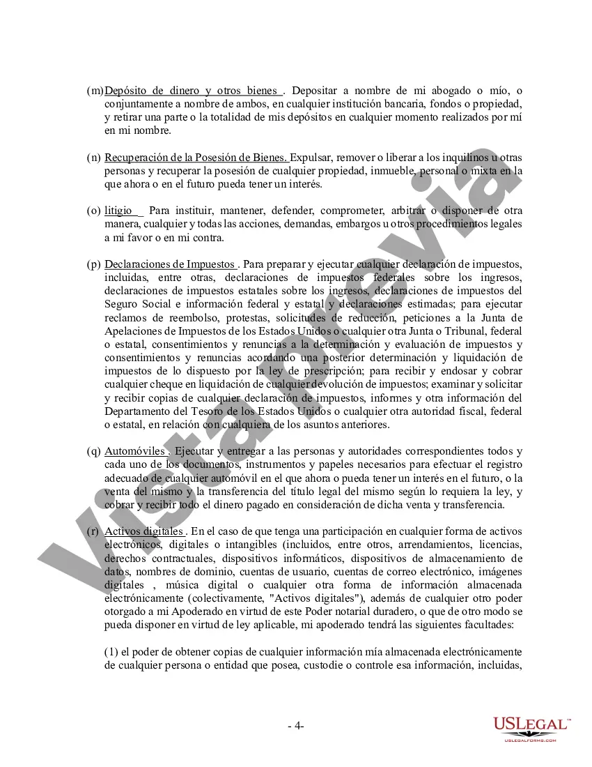 Preview Poder General Duradero para Bienes y Finanzas o Financiero Efectivo Inmediatamente