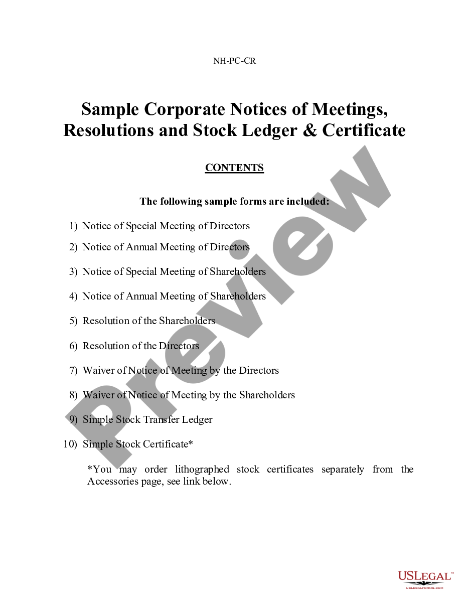 page 0 Sample Corporate Records for a New Hampshire Professional Corporation preview