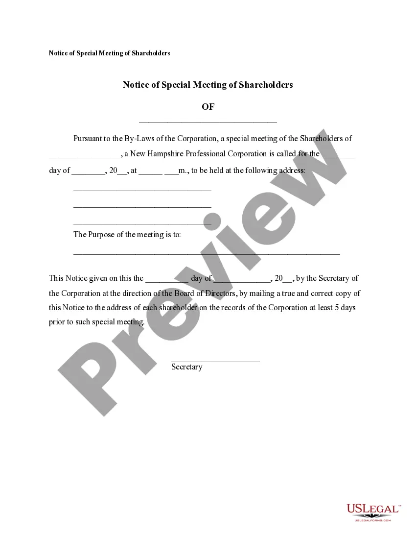 Preview Sample Corporate Records for a New Hampshire Professional Corporation