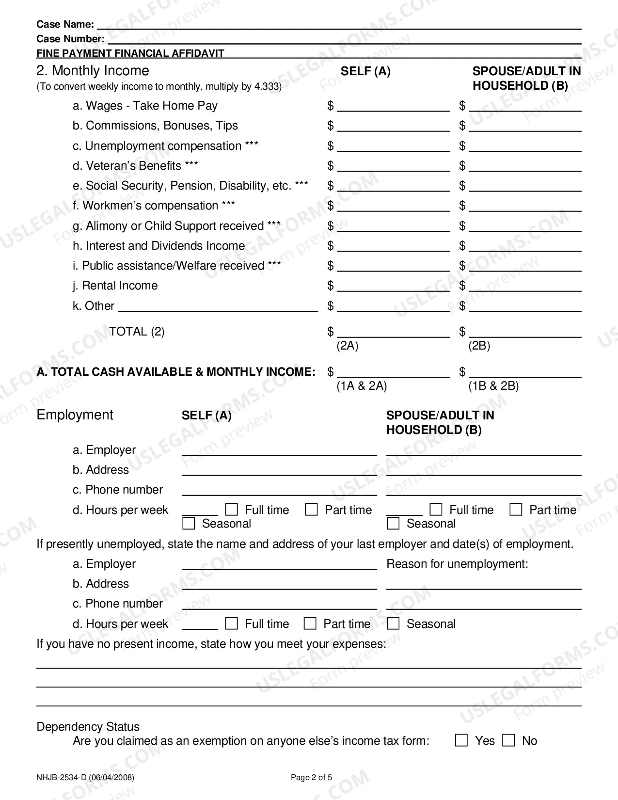 Preview Fine Payment Financial Affidavit