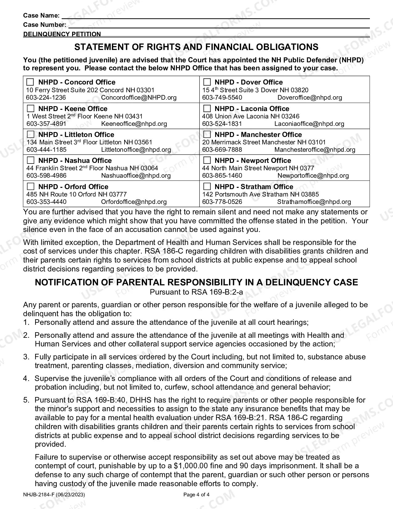 Preview Delinquency Petition