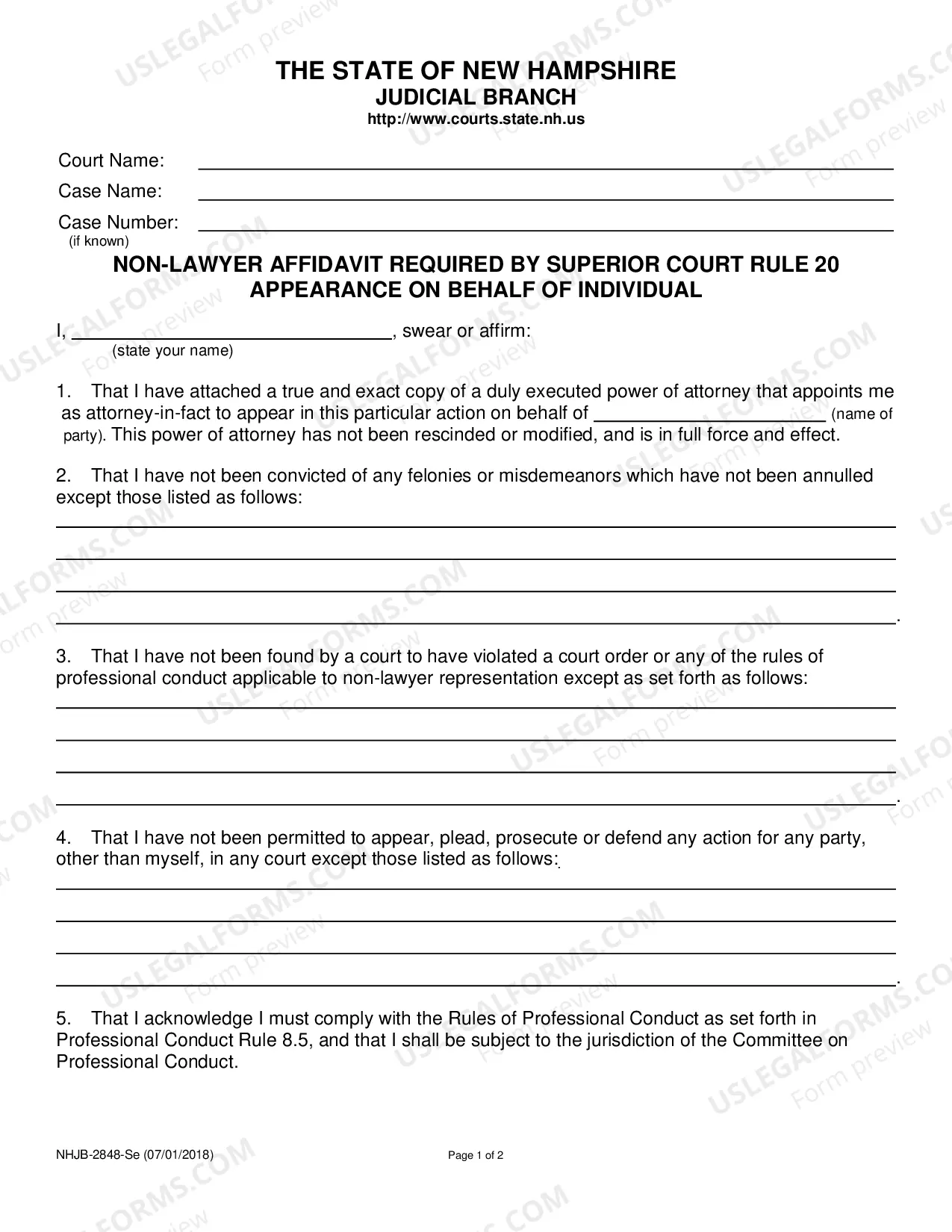 Preview Non-Lawyer Affidavit (Individual)