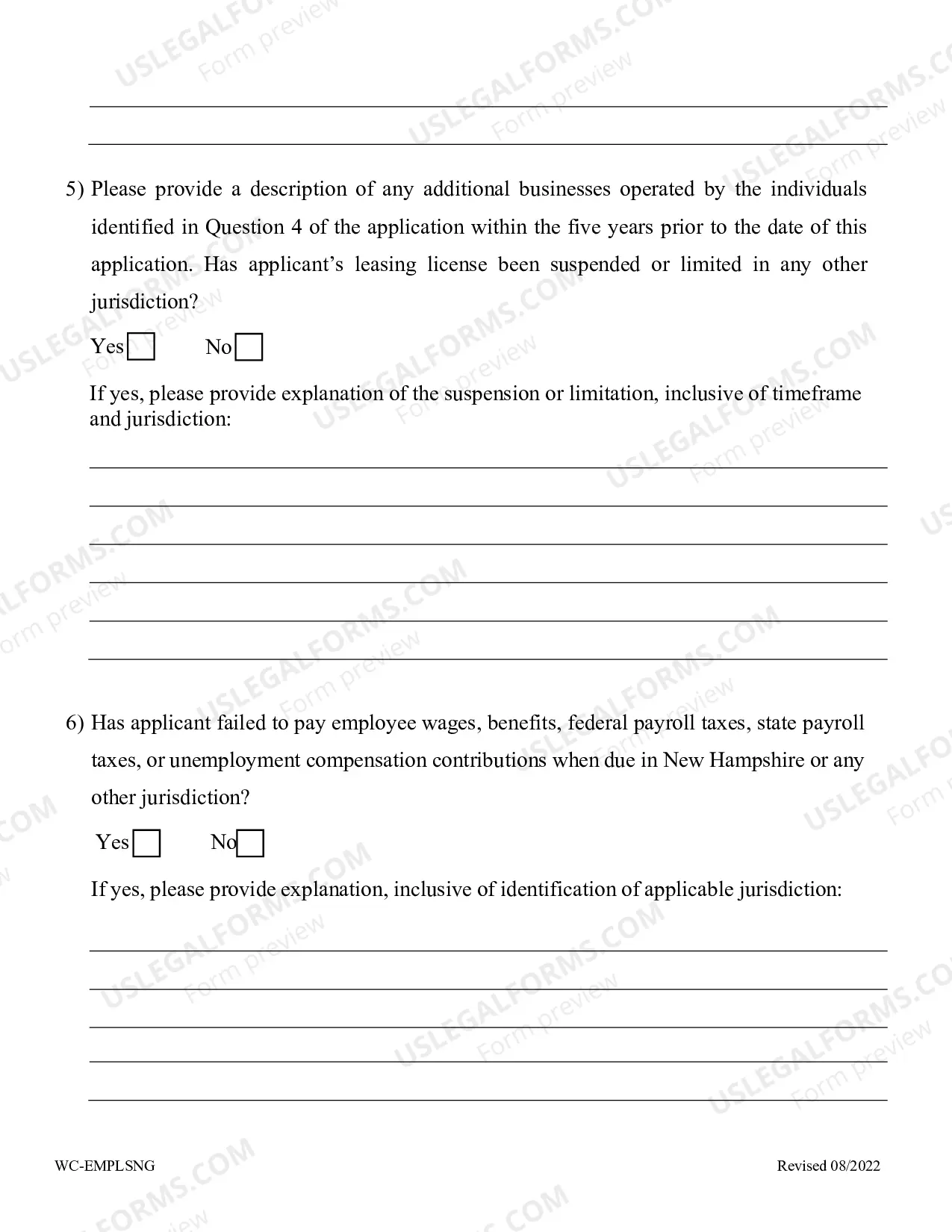 Preview Employee Leasing Initial Application