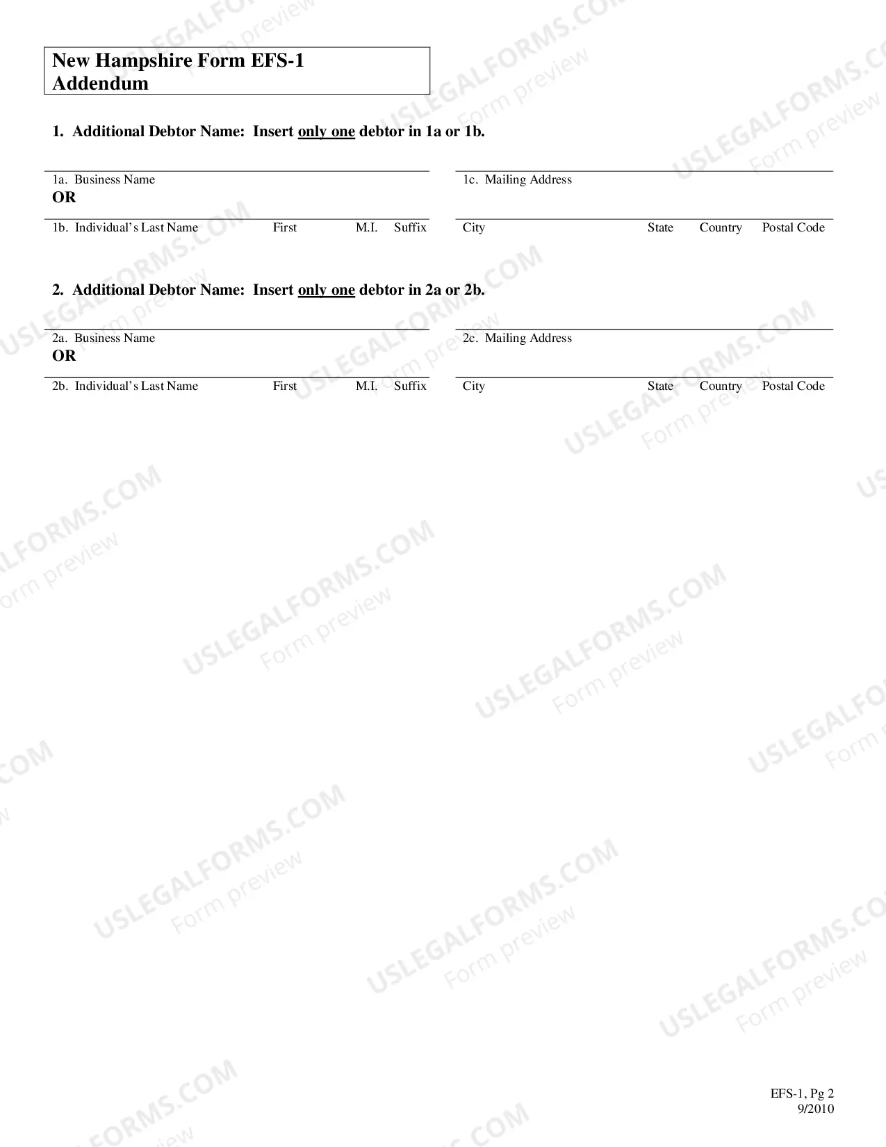 Preview New Hampshire UCC Effective Financing Statement 1