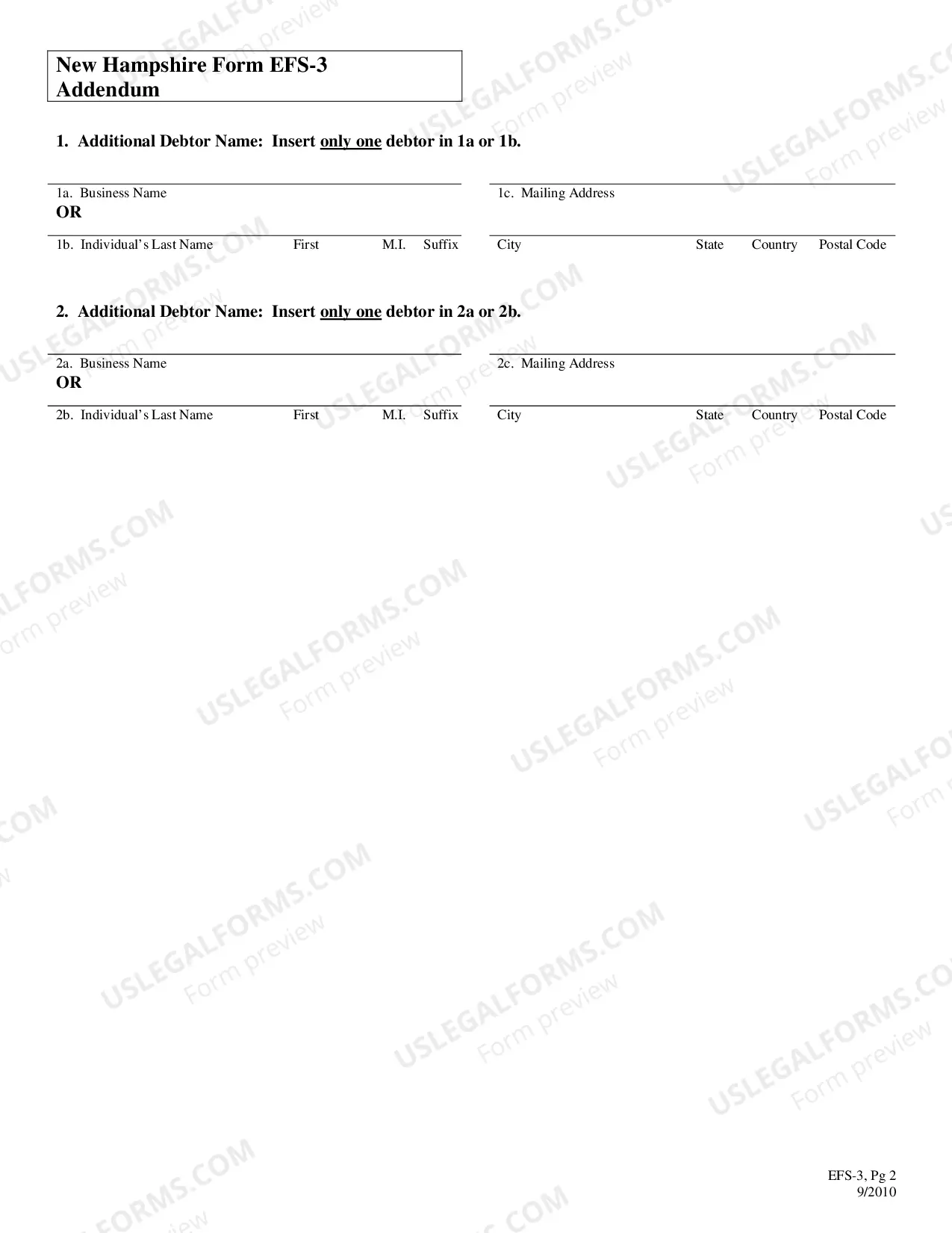 Preview New Hampshire UCC Effective Financing Statement 3