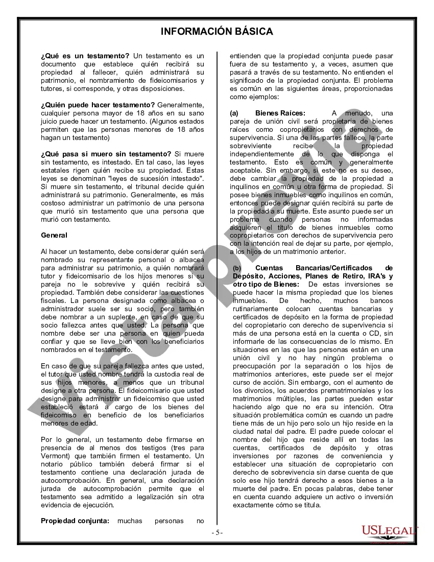 Preview Formulario de última voluntad y testamento legal para una pareja de unión civil sin hijos