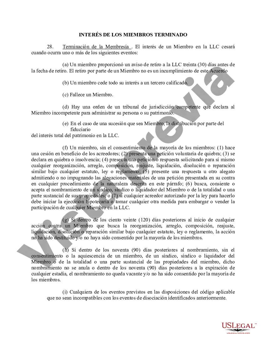 Preview Acuerdo Operativo de Sociedad de Responsabilidad Limitada LLC