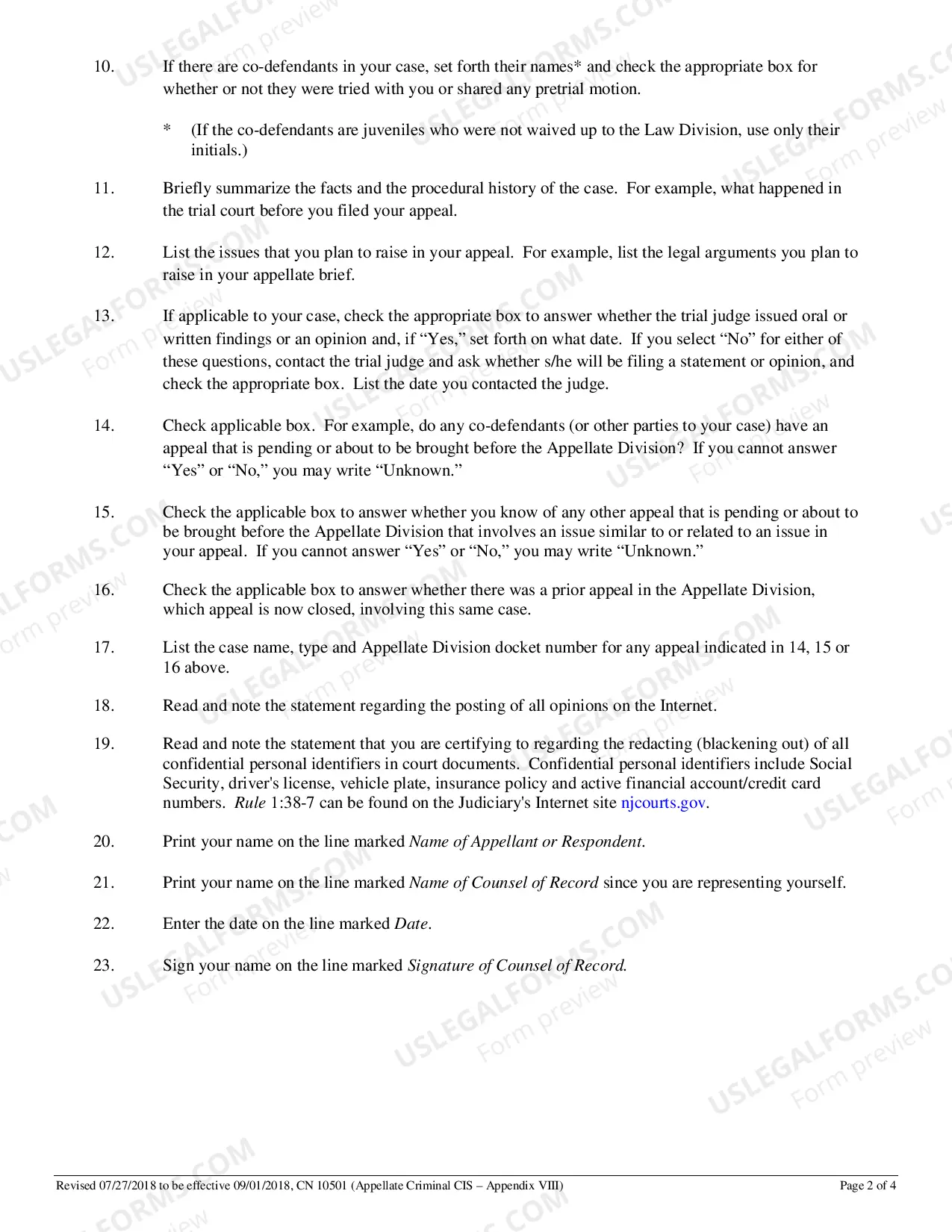Preview Criminal Case Information Statement