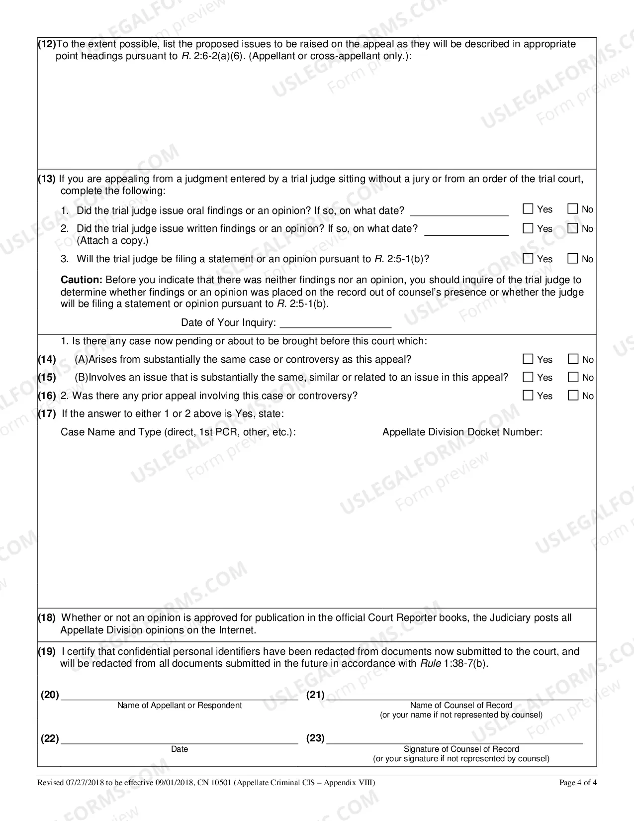 Preview Criminal Case Information Statement