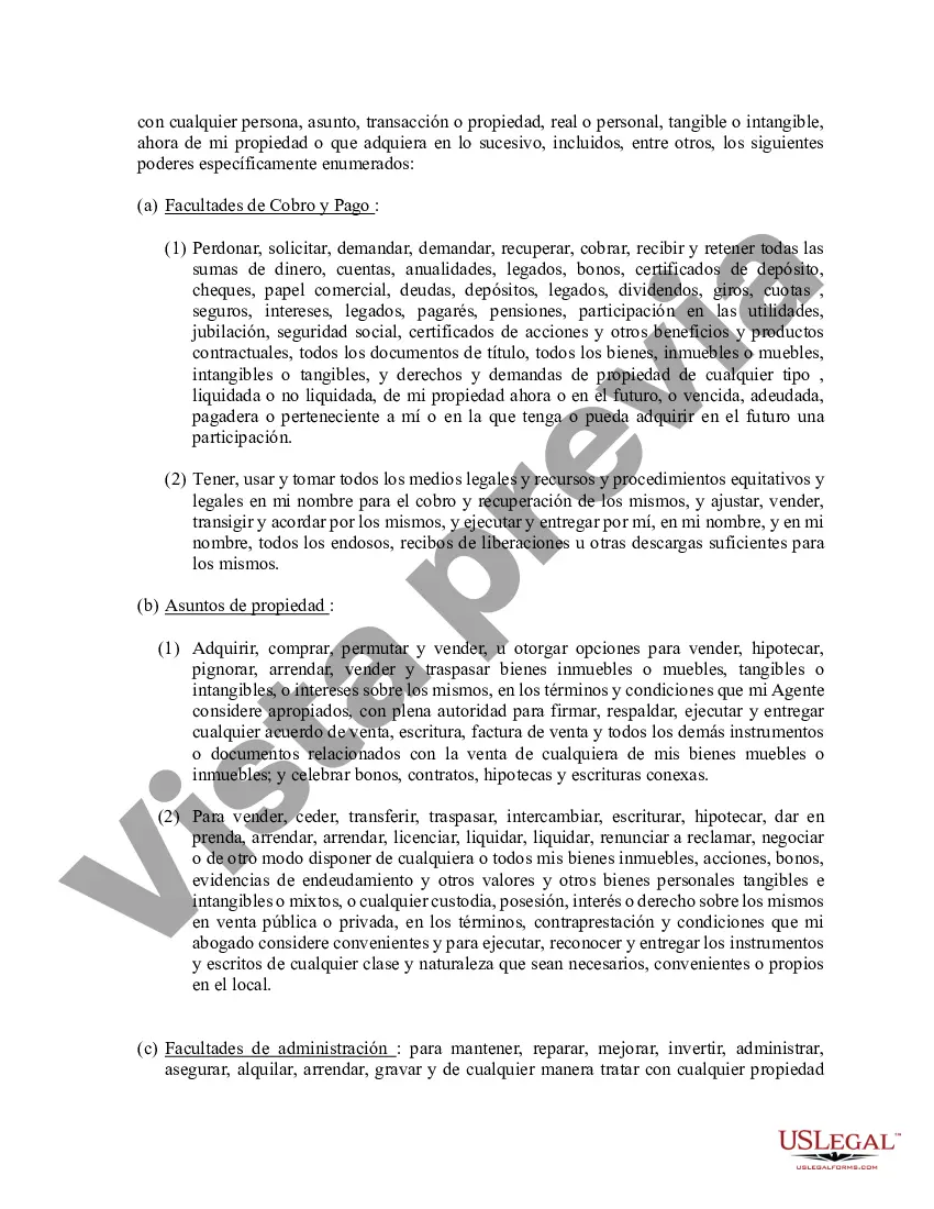 Preview Poder general duradero para la propiedad y las finanzas o efectivo financiero en caso de incapacidad
