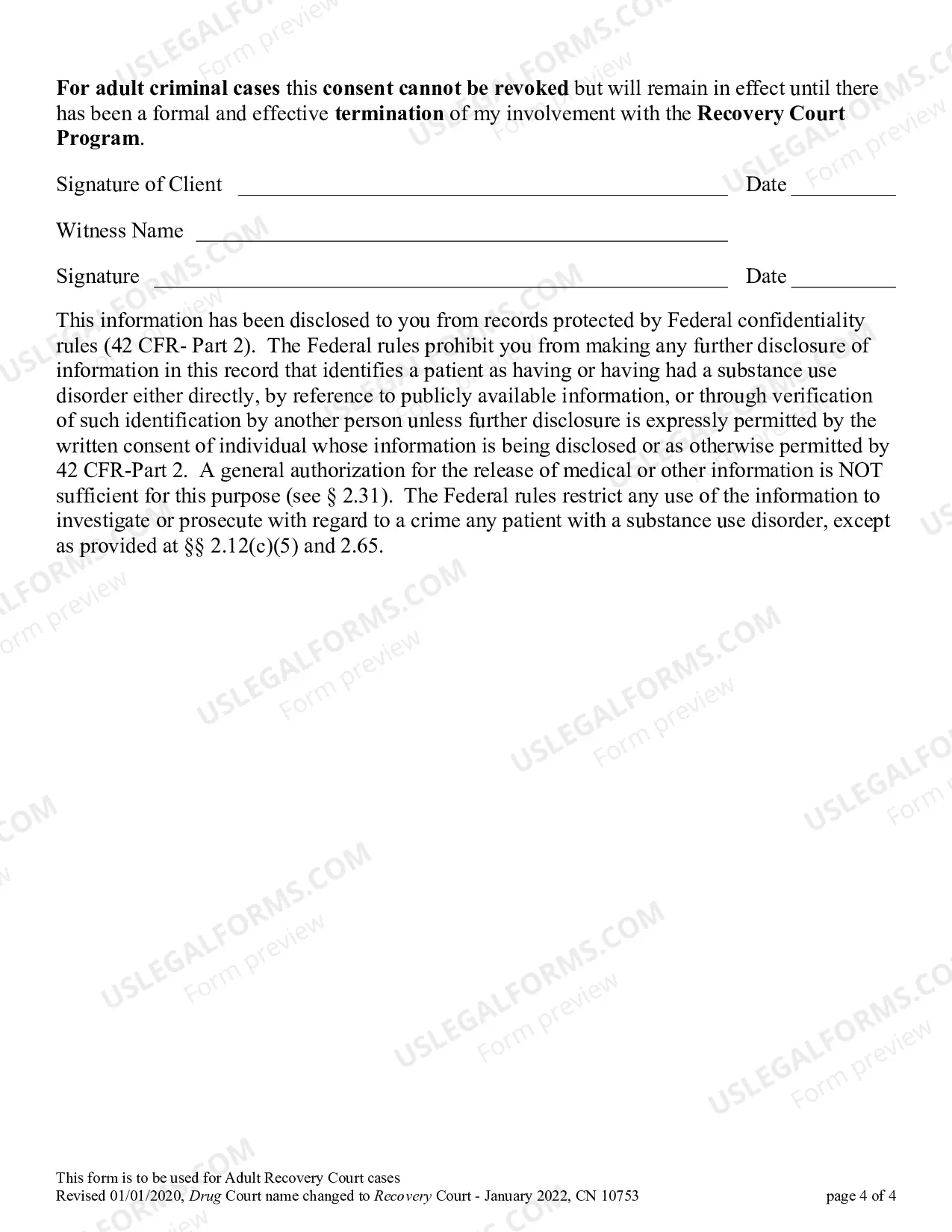 Preview Drug Court Application