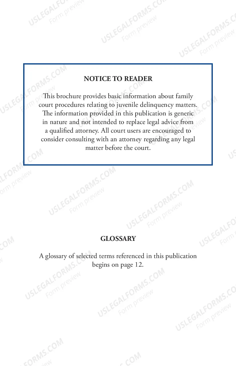 Preview Juvenile Delinquency Proceedings and Your Child - brochure