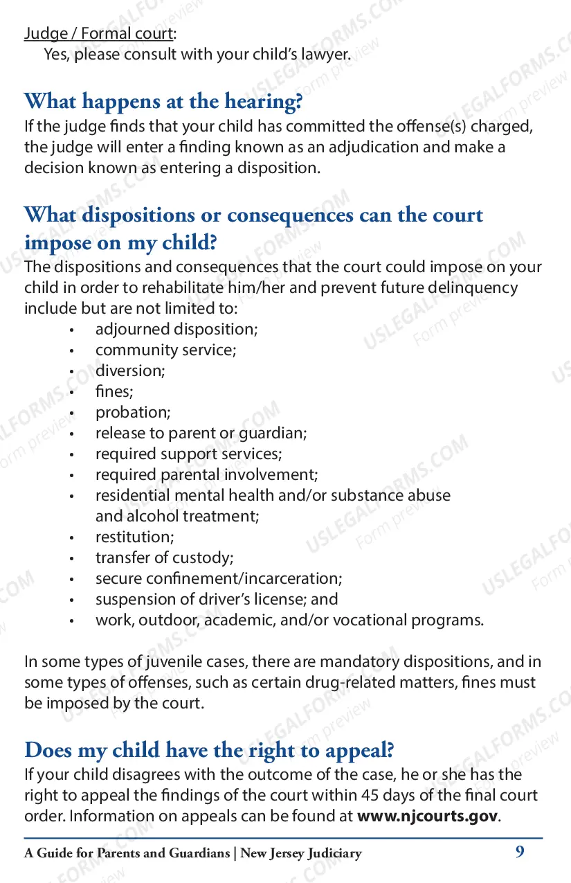 Preview Juvenile Delinquency Proceedings and Your Child - brochure