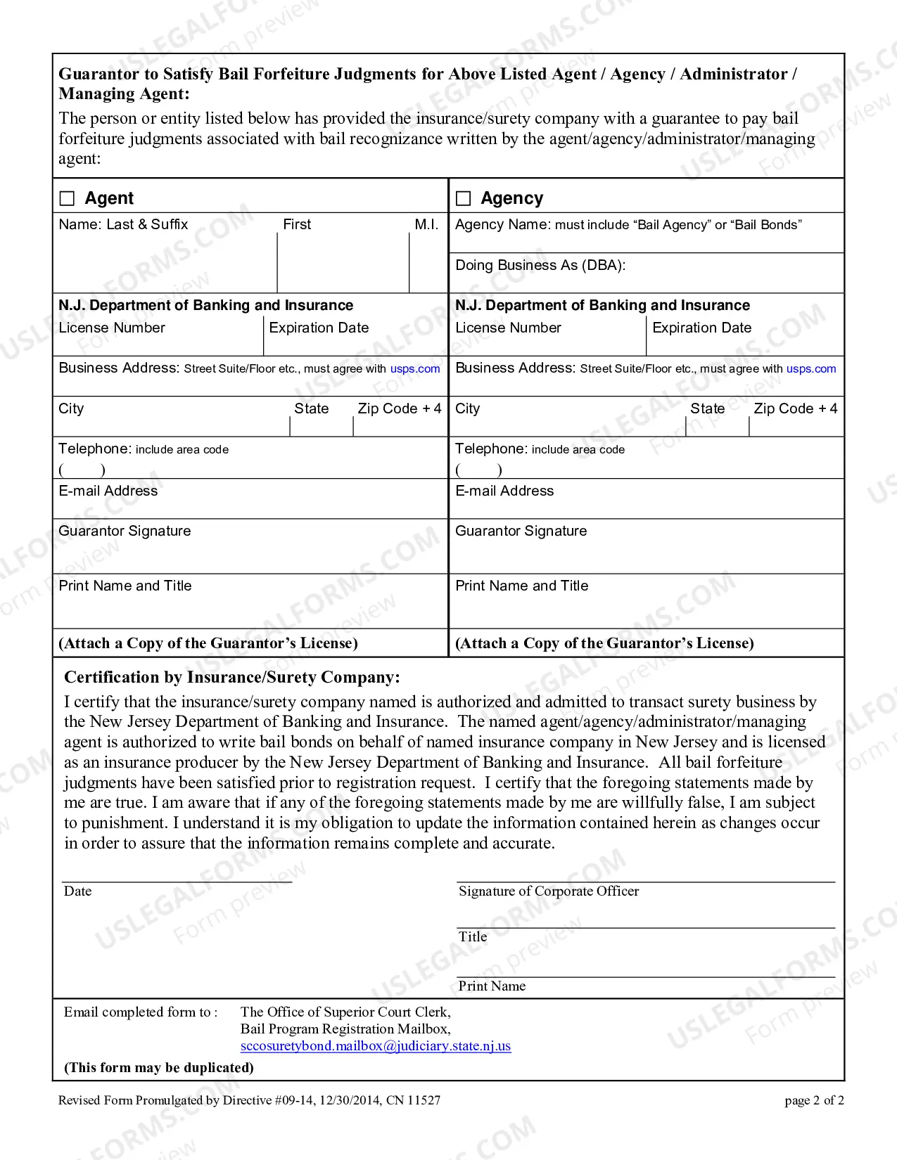 Preview Bail Program Registration Form