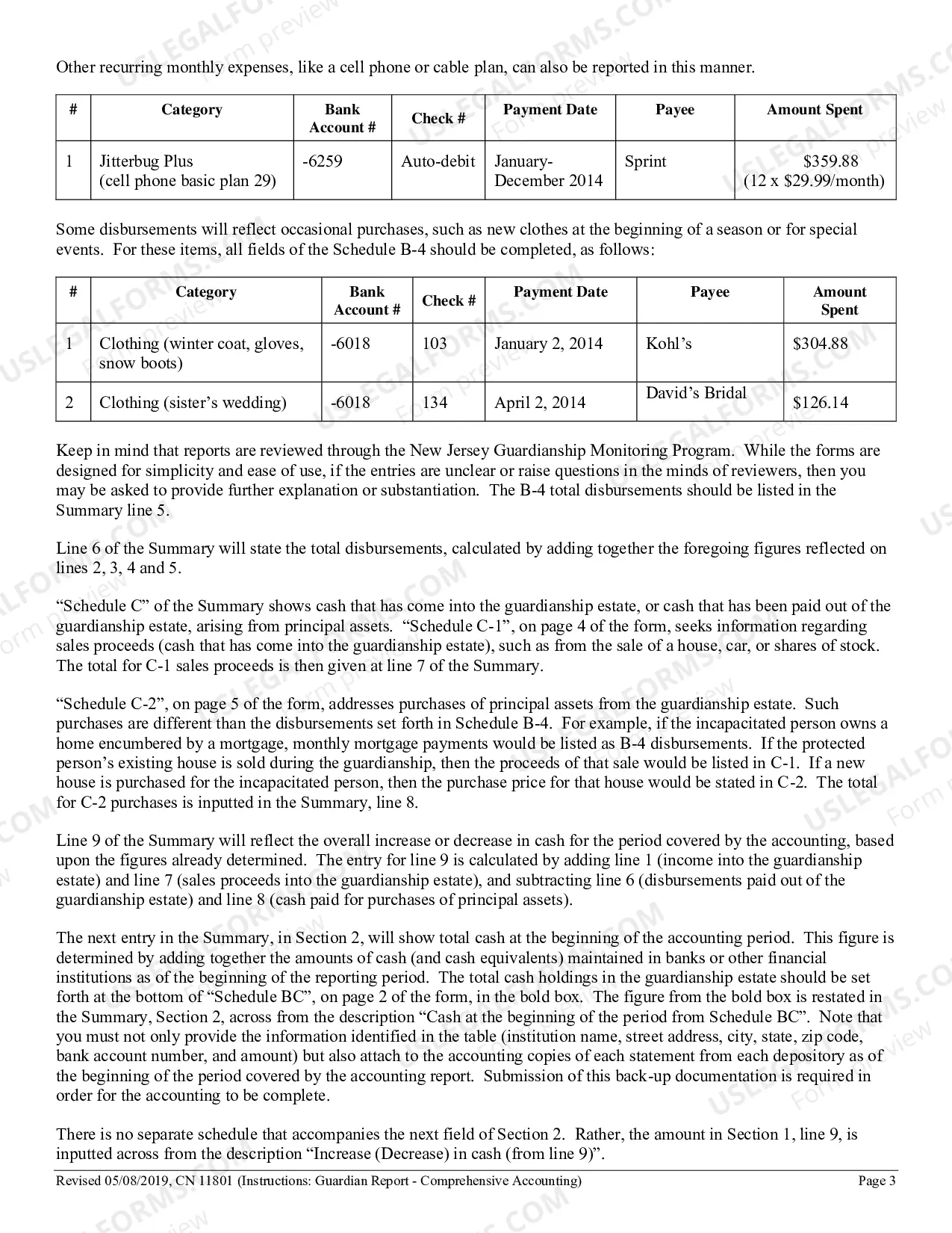 Preview Comprehensive Accounting Form (Guardianship)