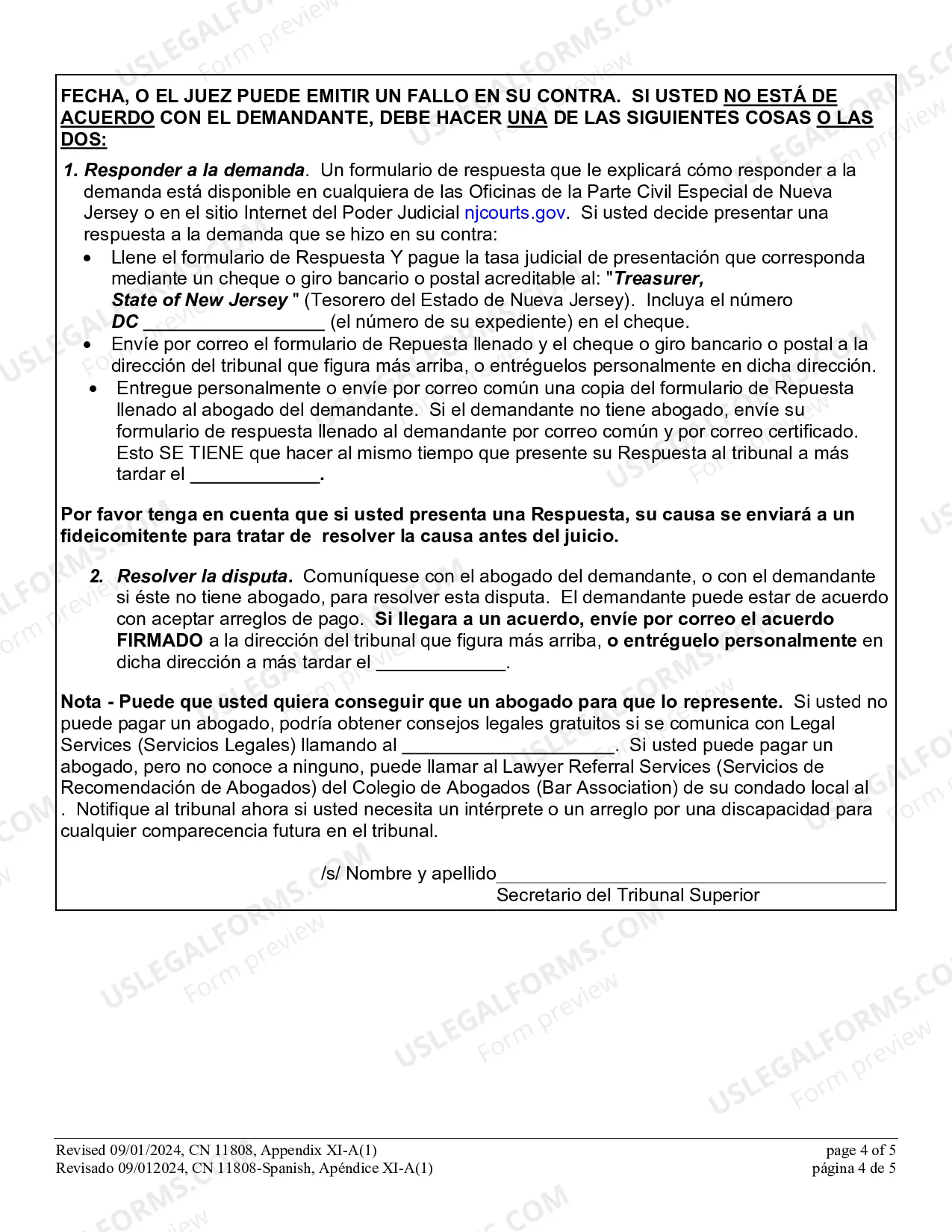 Preview DC Summons - Appendix XI-A (1)