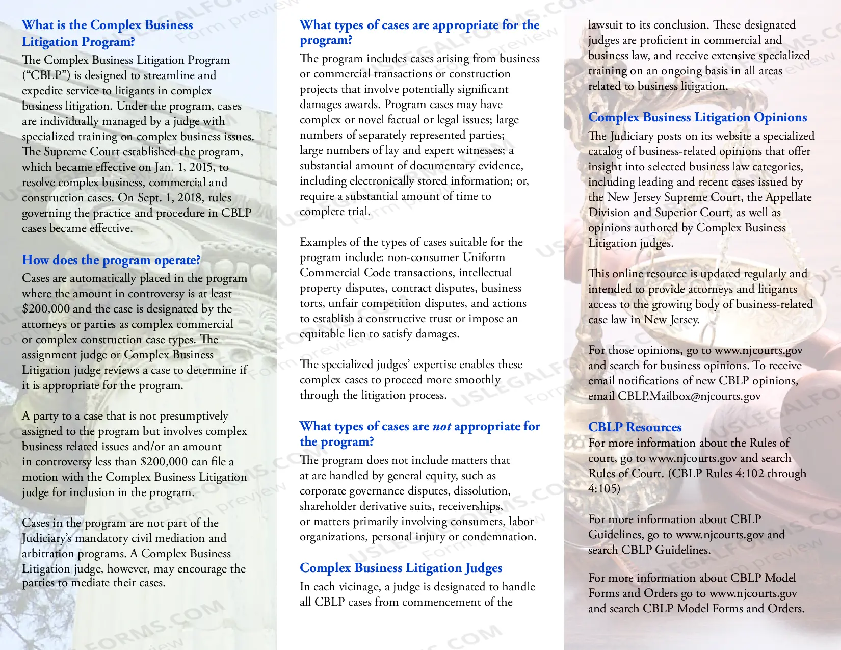 Preview Complex Business Litigation Brochure