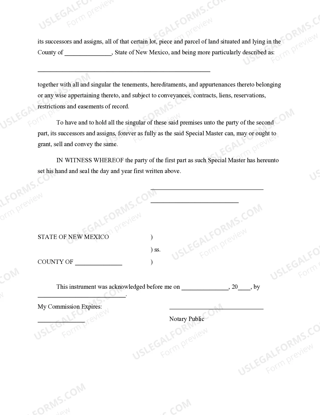 Preview Report of Special Master