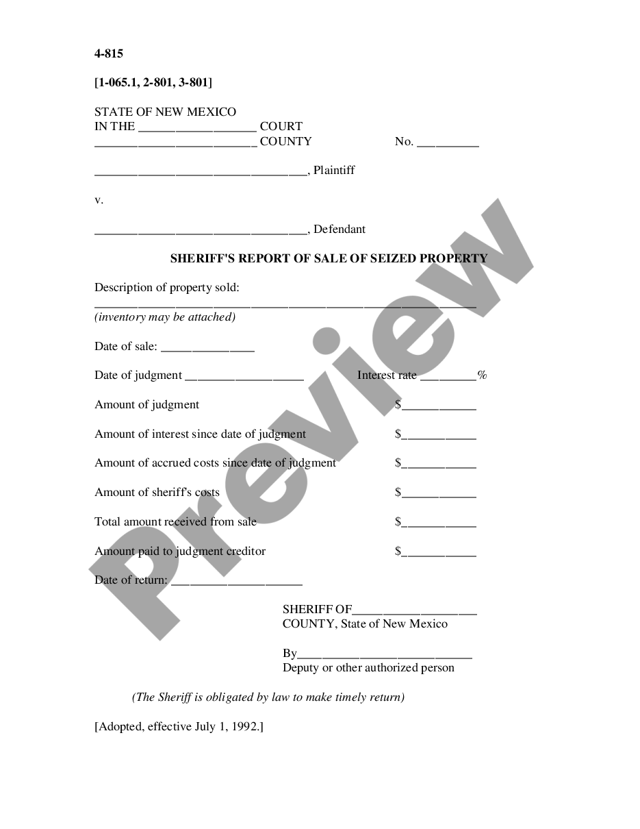 form Sheriff's Report of Sale of Seized Property preview