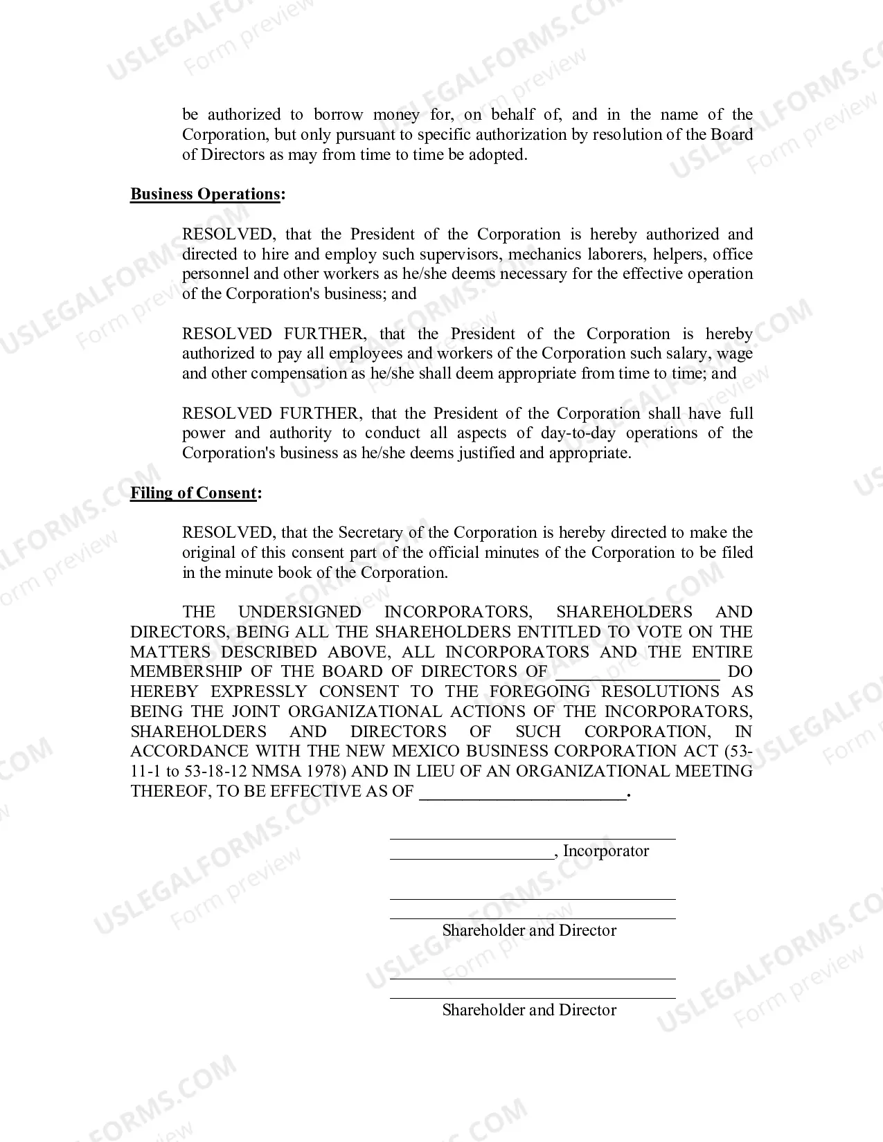 Preview Minutes for Organizational Meeting