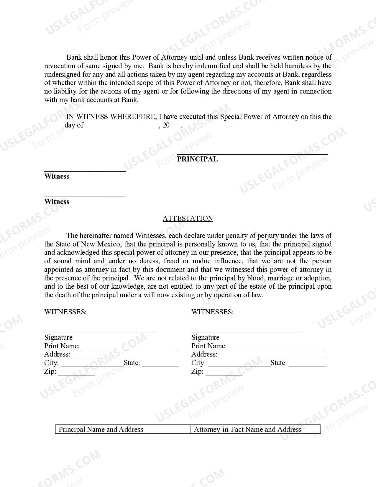 Preview Special Durable Power of Attorney for Bank Account Matters