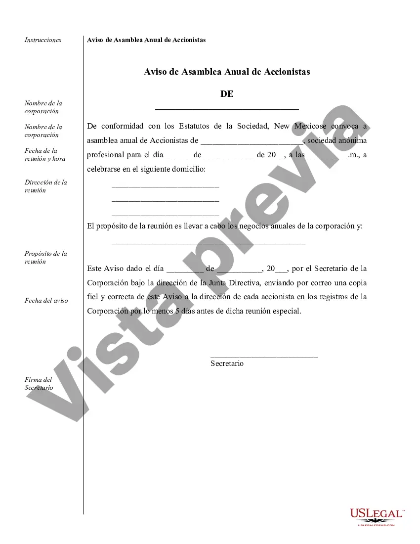 Preview Muestra de registros corporativos para una corporación profesional de Nuevo México