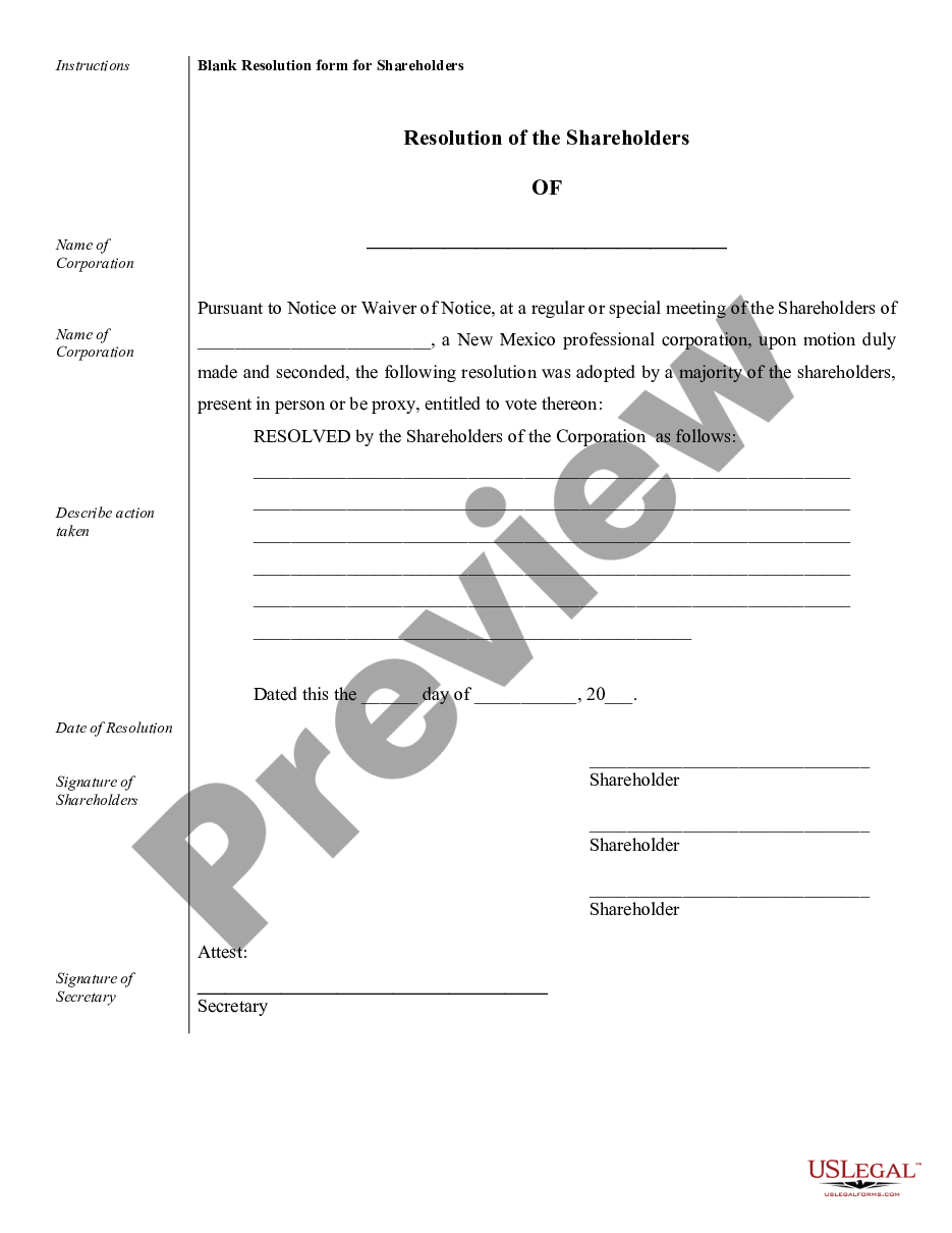 page 6 Sample Corporate Records for a New Mexico Professional Corporation preview