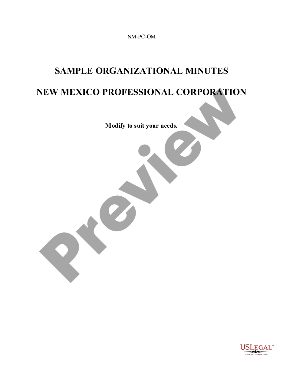page 0 Organizational Minutes for a New Mexico Professional Corporation preview