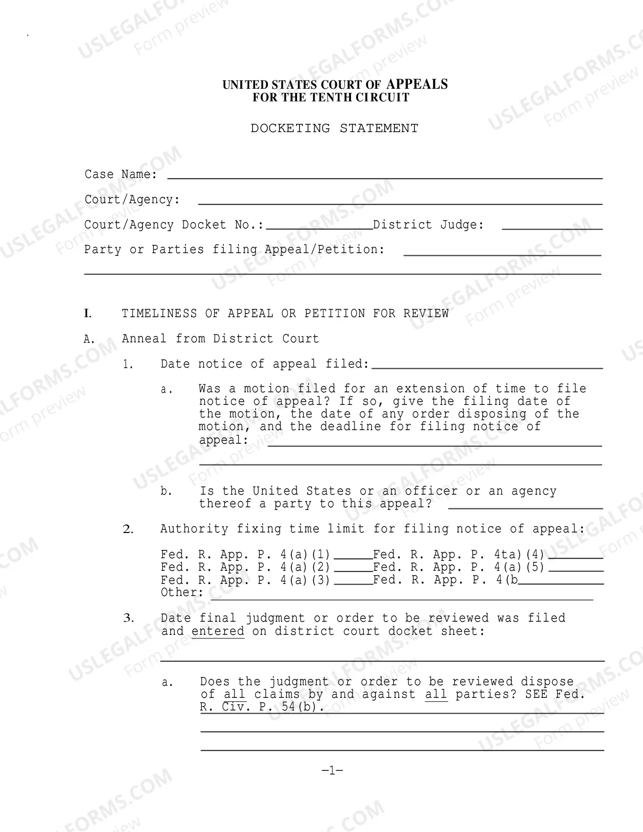 Preview Docketing Statement Instructions