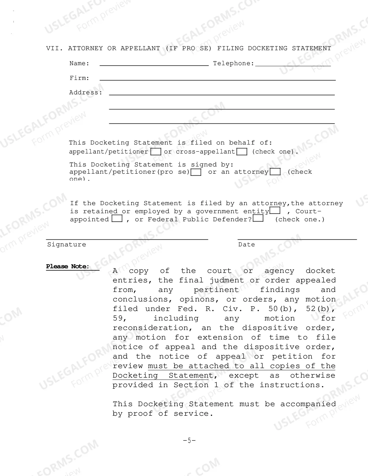 Preview Docketing Statement Instructions