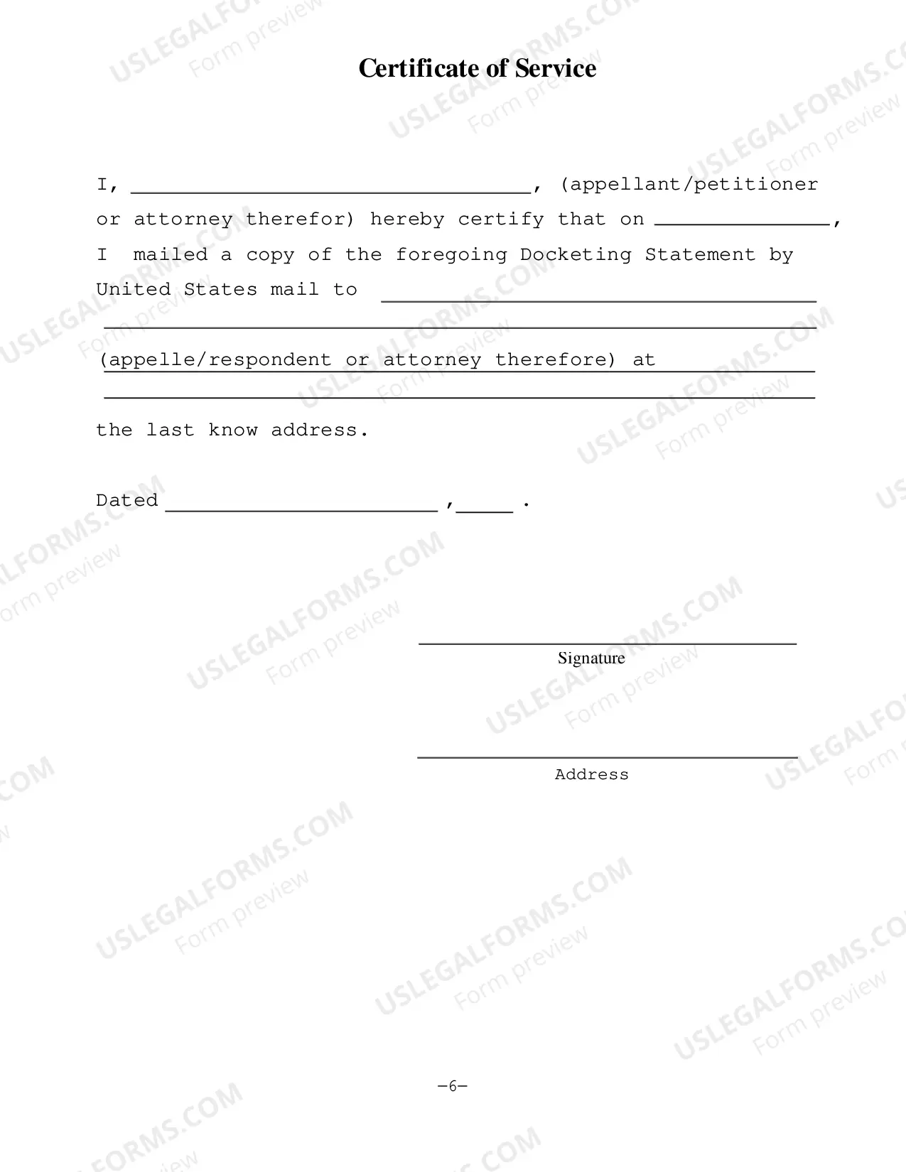 Preview Docketing Statement Instructions