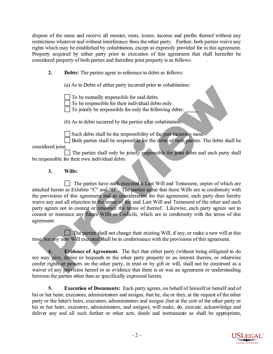 form Non-Marital Cohabitation Living Together Agreement preview