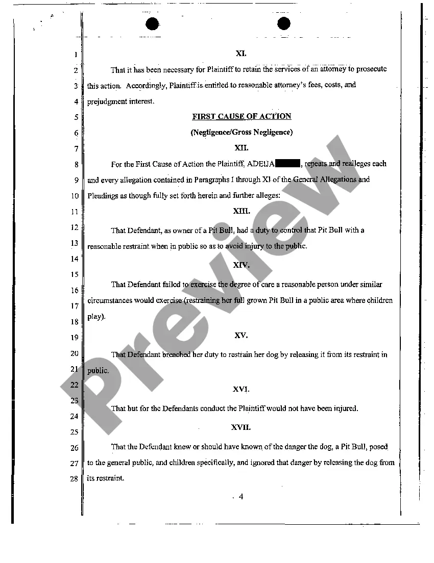 Preview Complaint - Personal Injury Due to Dog Bite from Dog with Vicious Propensities