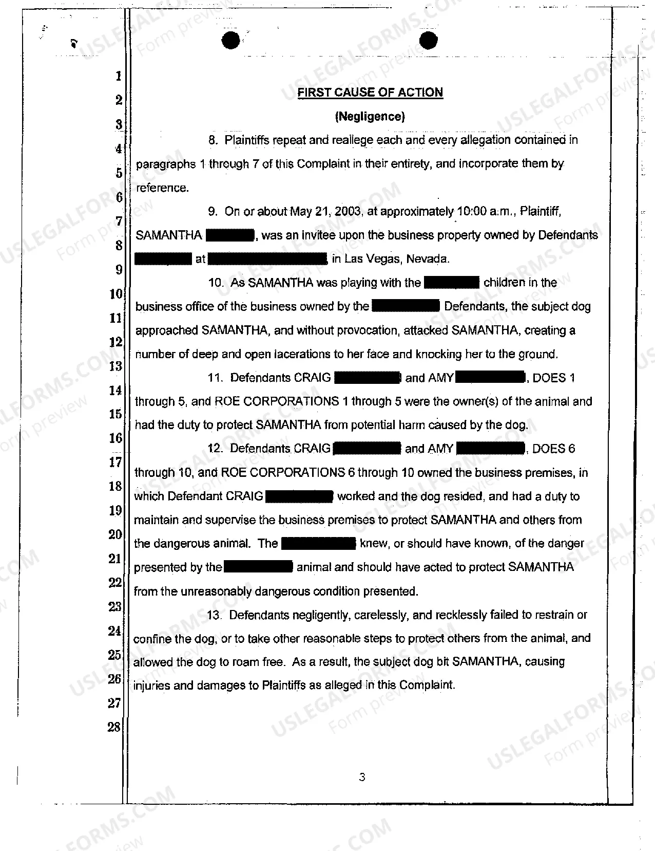 Preview Complaint - Personal Injury Due to Dog Bite on Dog Owner's Property