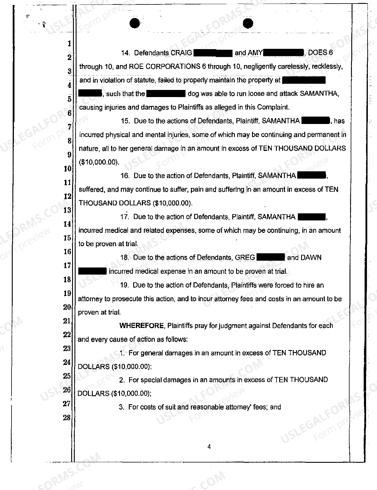 Preview Complaint - Personal Injury Due to Dog Bite on Dog Owner's Property