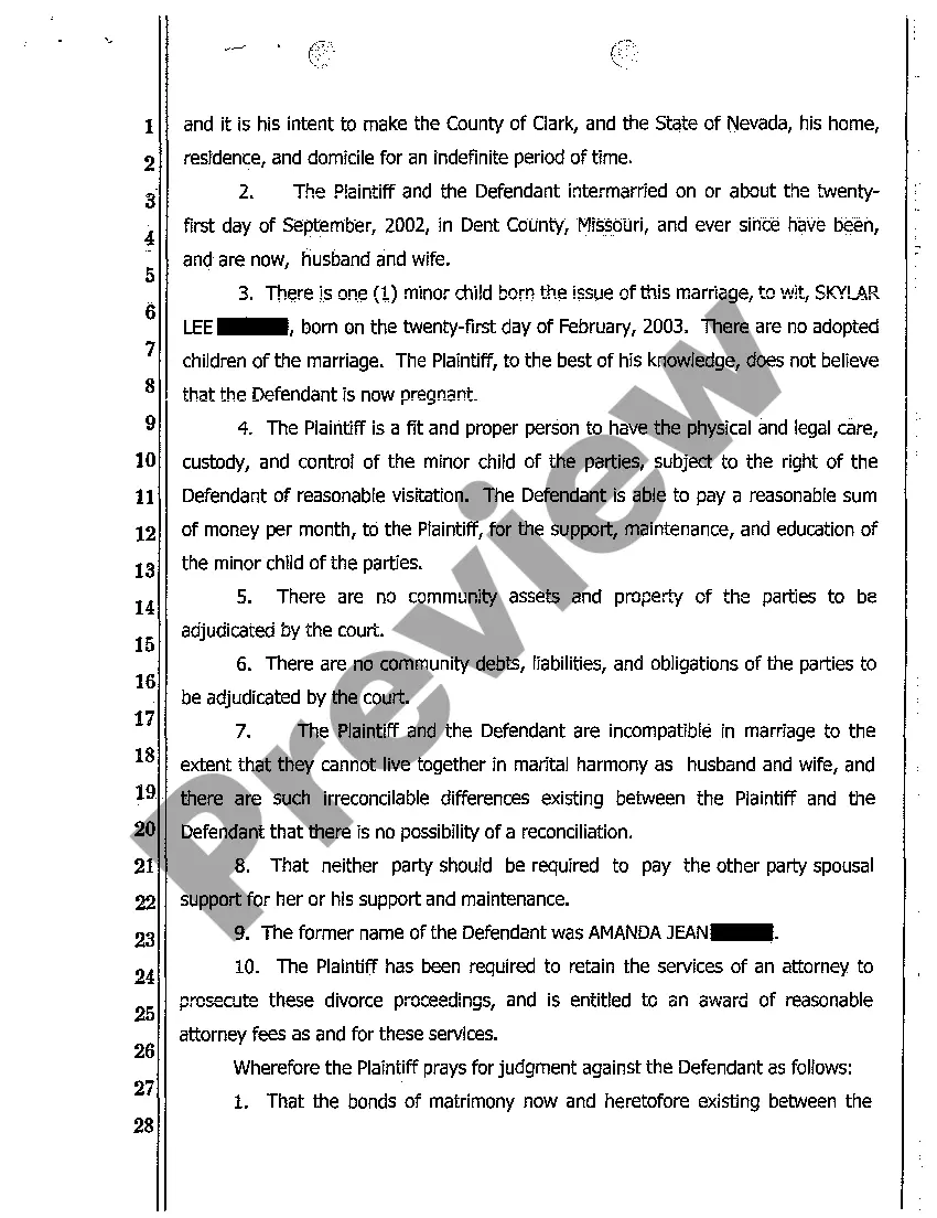 Preview Complaint for Divorce with One Minor Child and No Community Property or Debt
