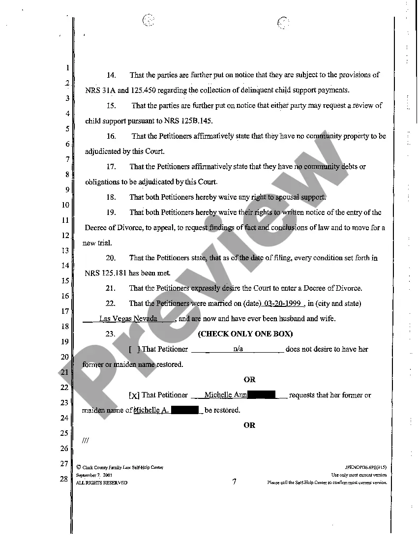 Preview Joint Petition for Summary Decree of Divorce with Children