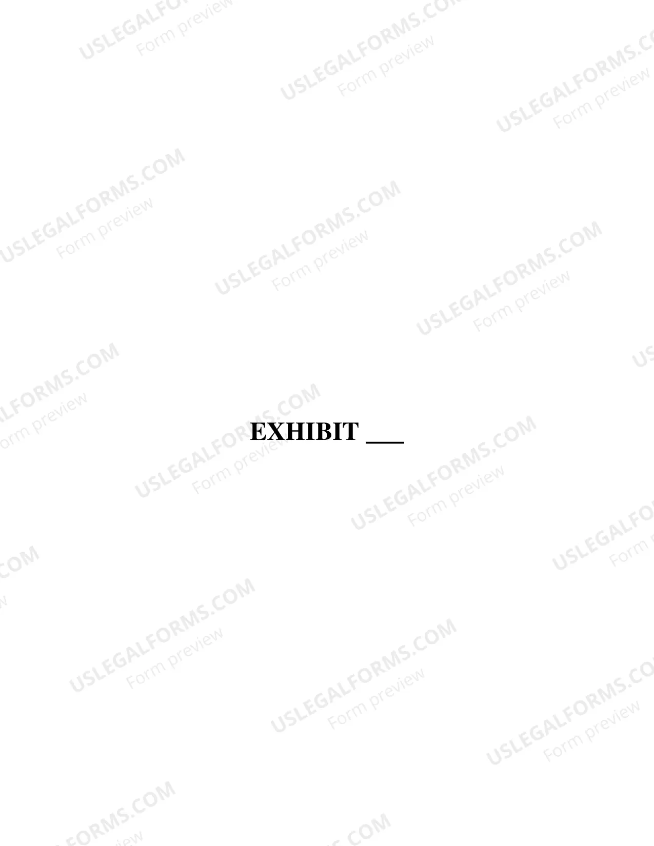 Preview Exhibit Appendix