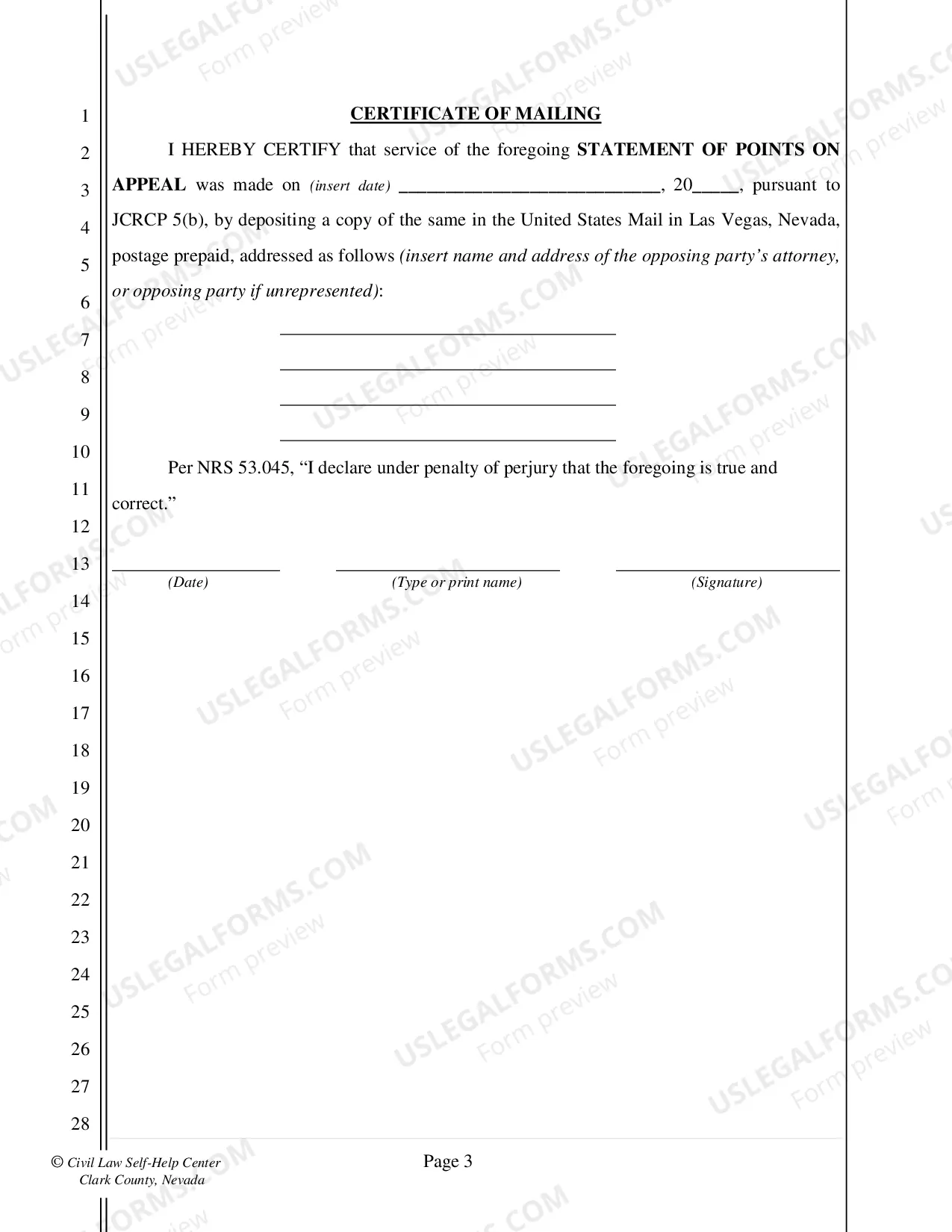 Preview Statement of Points on Appeal