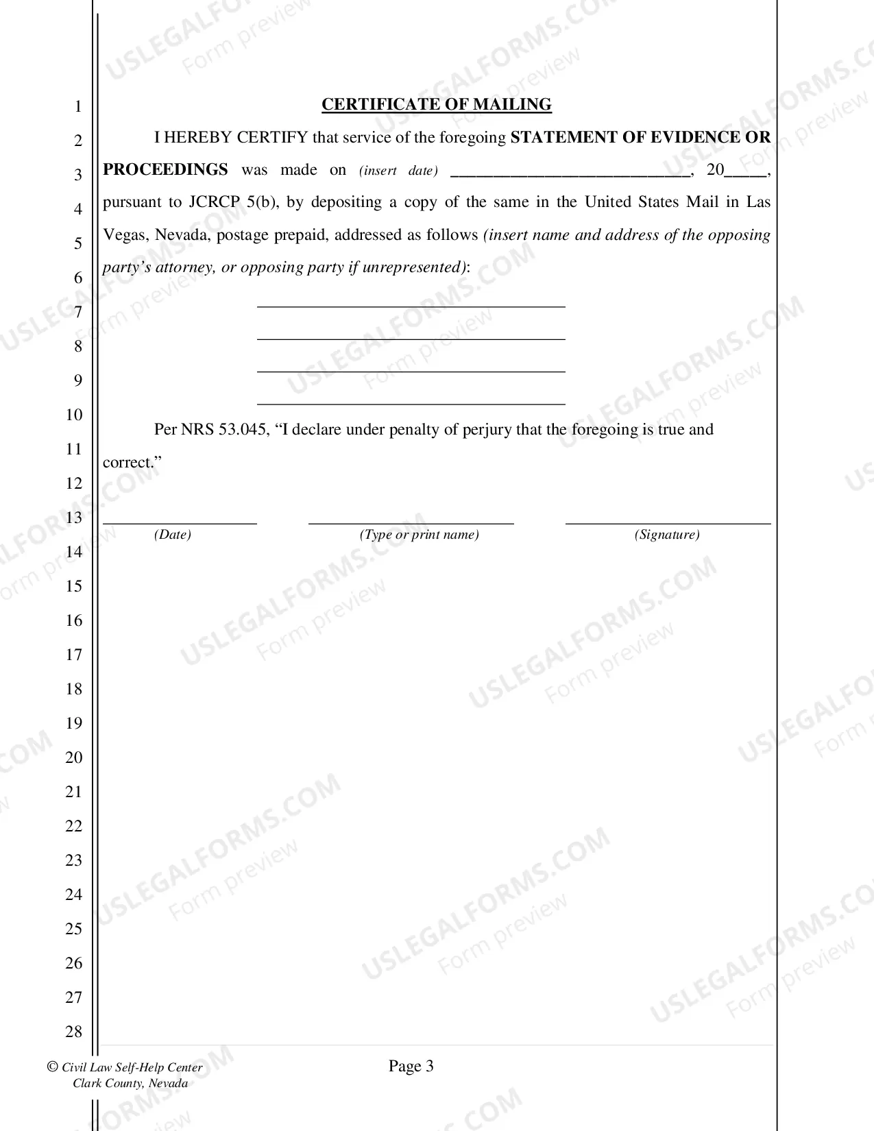 Preview Statement of Evidence or Proceedings - Fillable Form