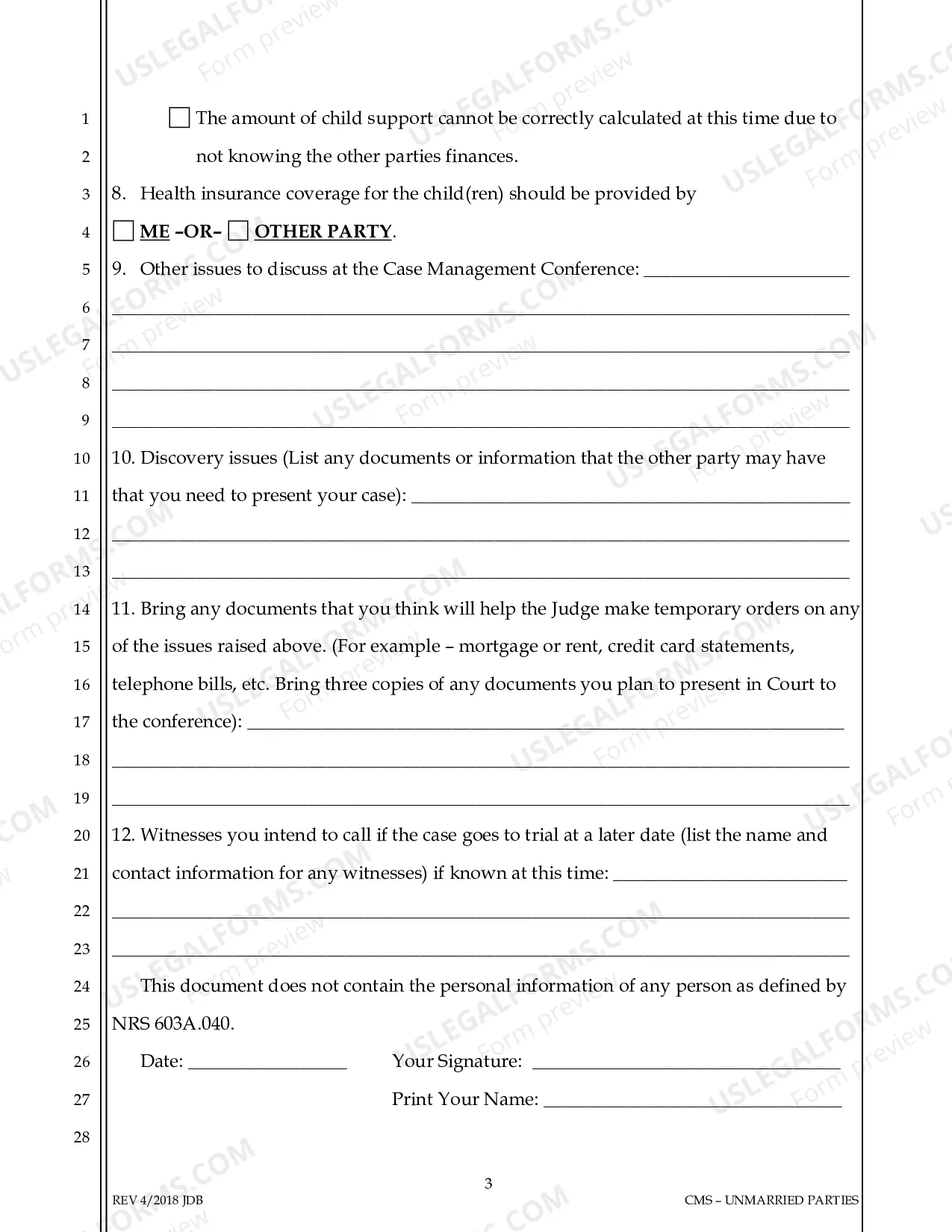 Preview Case Management Conference Statement - Unmarried Parties