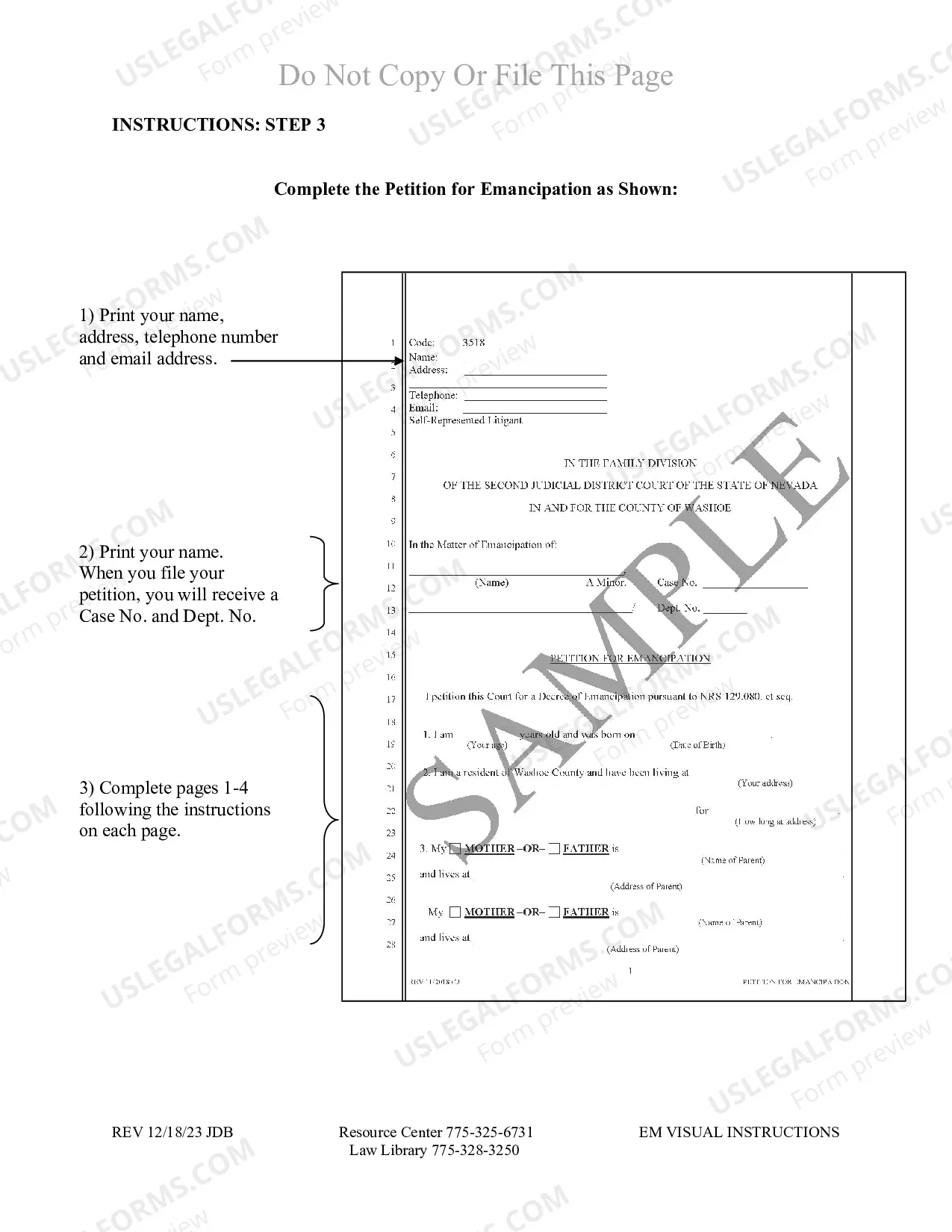 Preview Emancipation Packet for Washoe County Nevada