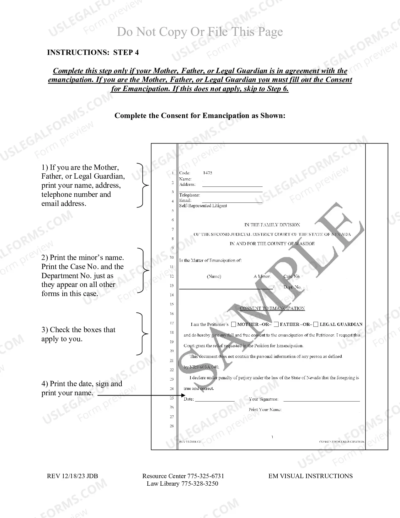 Preview Emancipation Packet for Washoe County Nevada