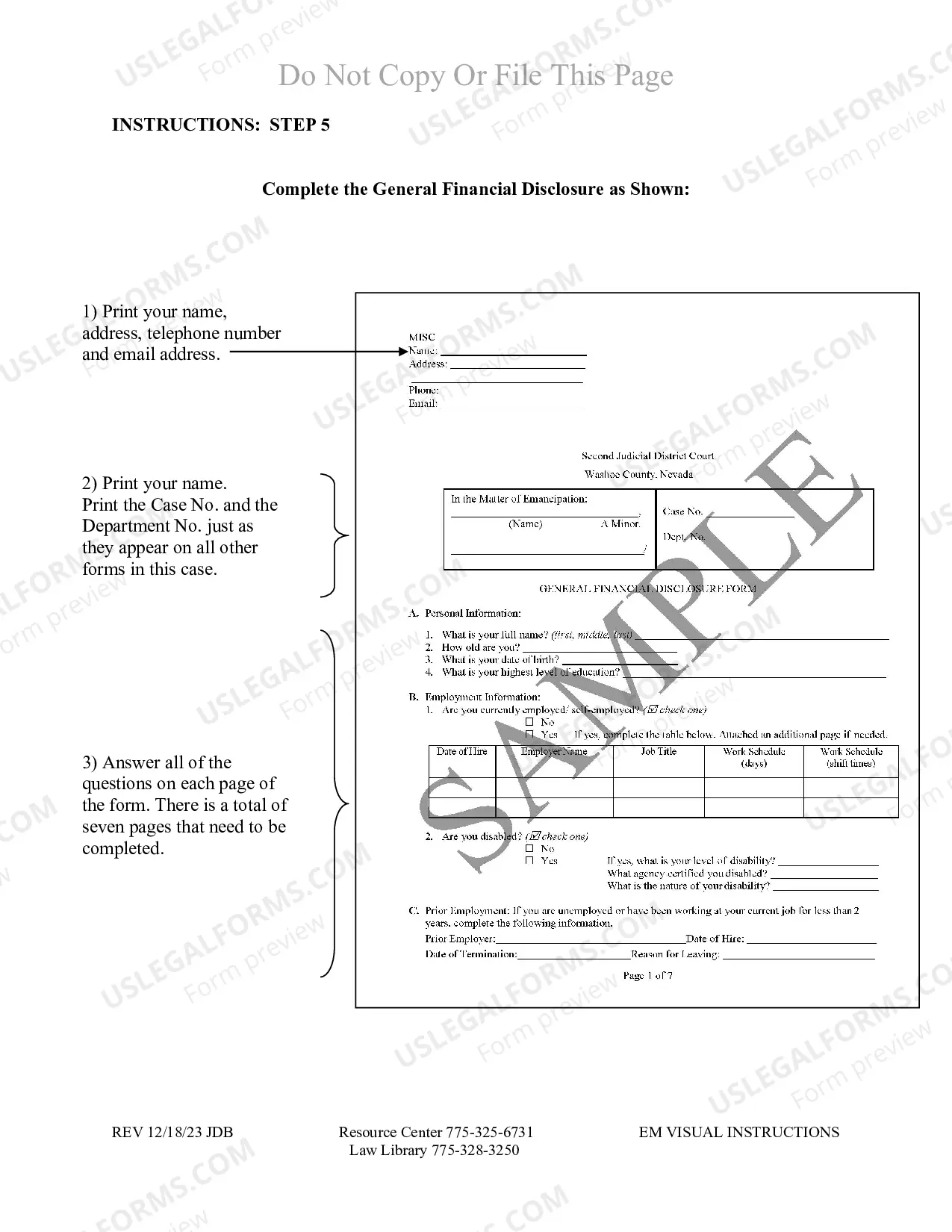 Preview Emancipation Packet for Washoe County Nevada