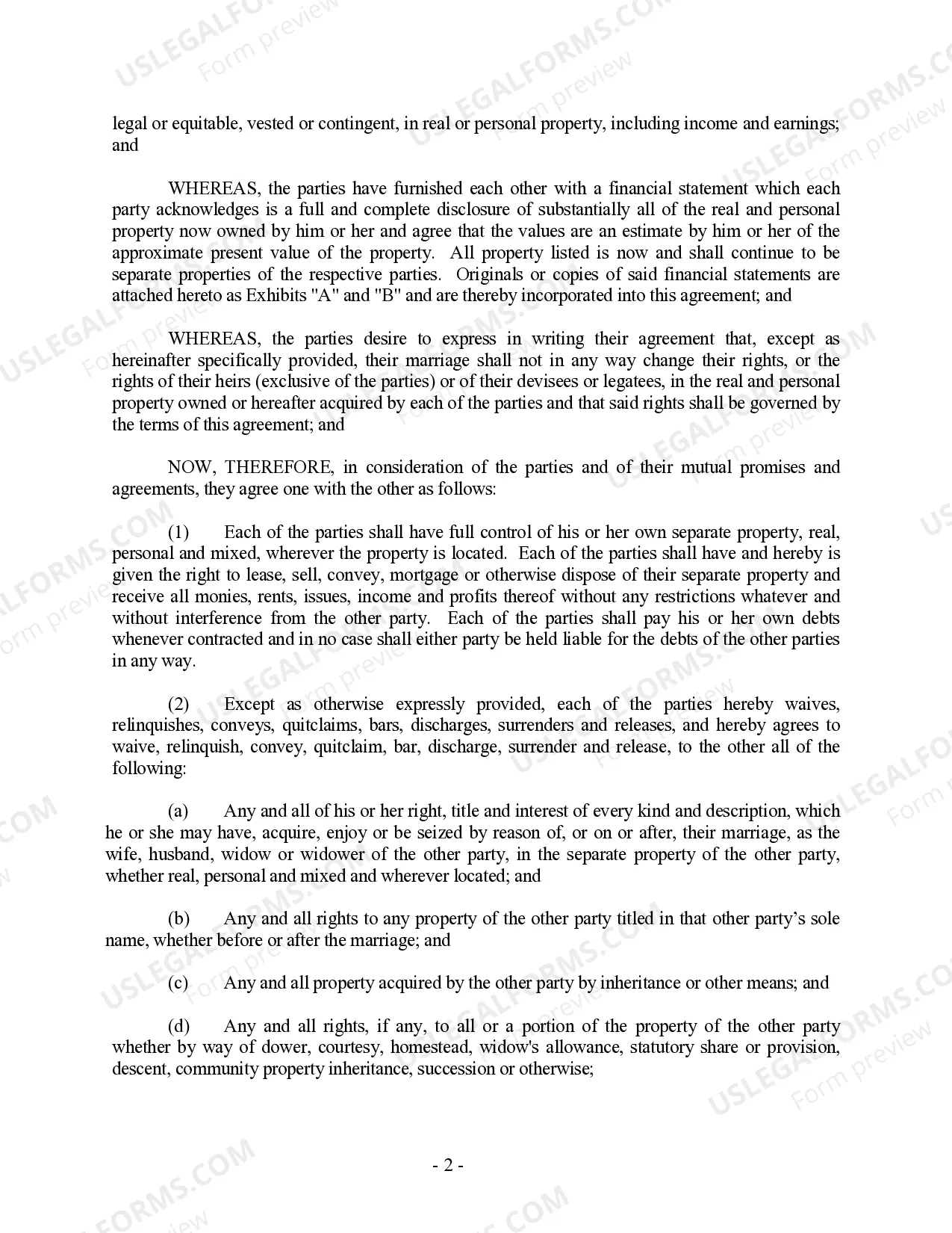 Preview New York Prenuptial Premarital Agreement without Financial Statements