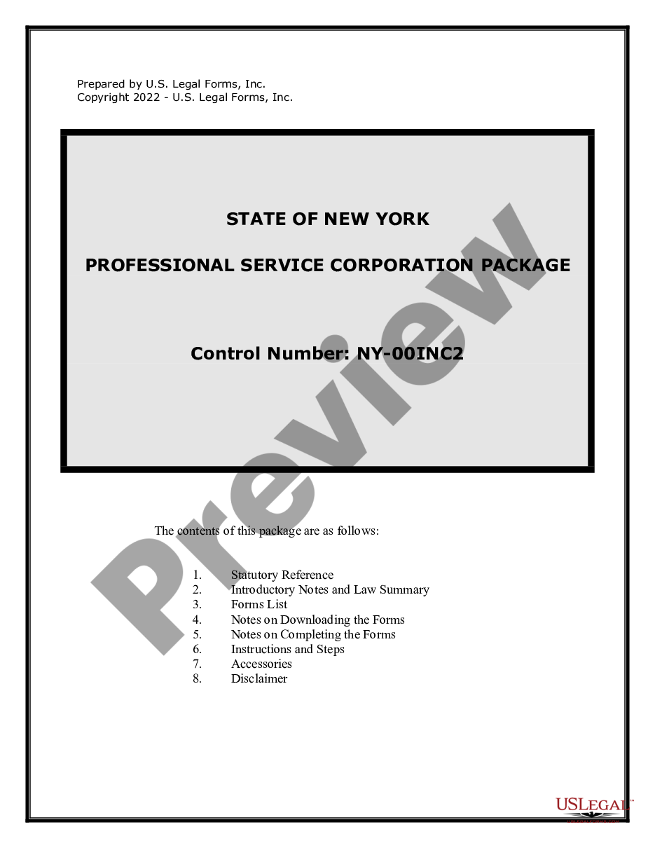 page 0 Professional Corporation Package for New York preview