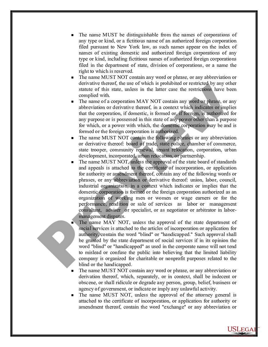 page 9 Professional Corporation Package for New York preview