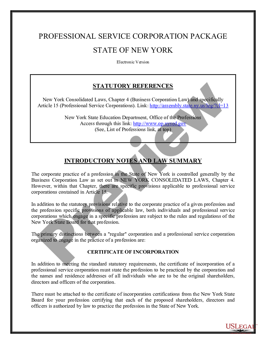 page 1 Professional Corporation Package for New York preview