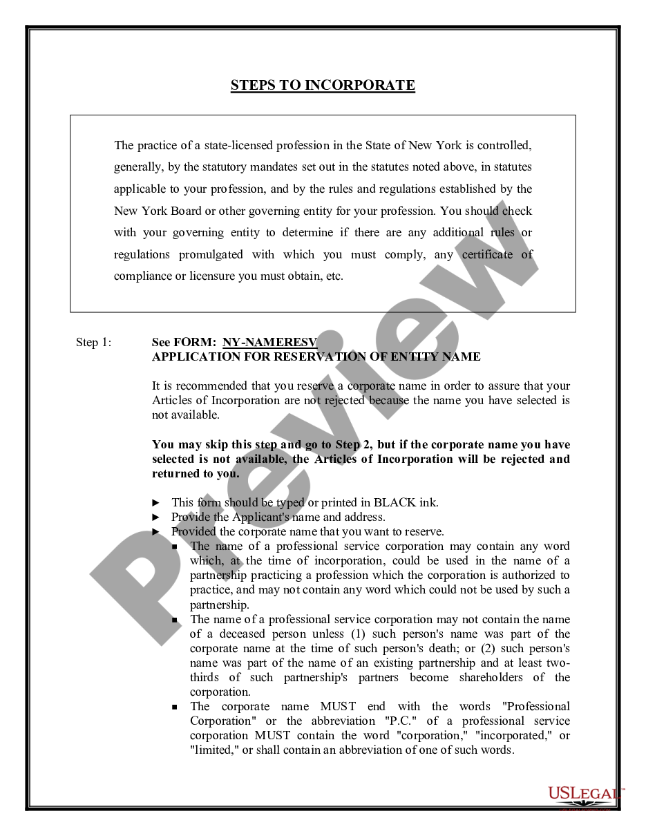 page 8 Professional Corporation Package for New York preview